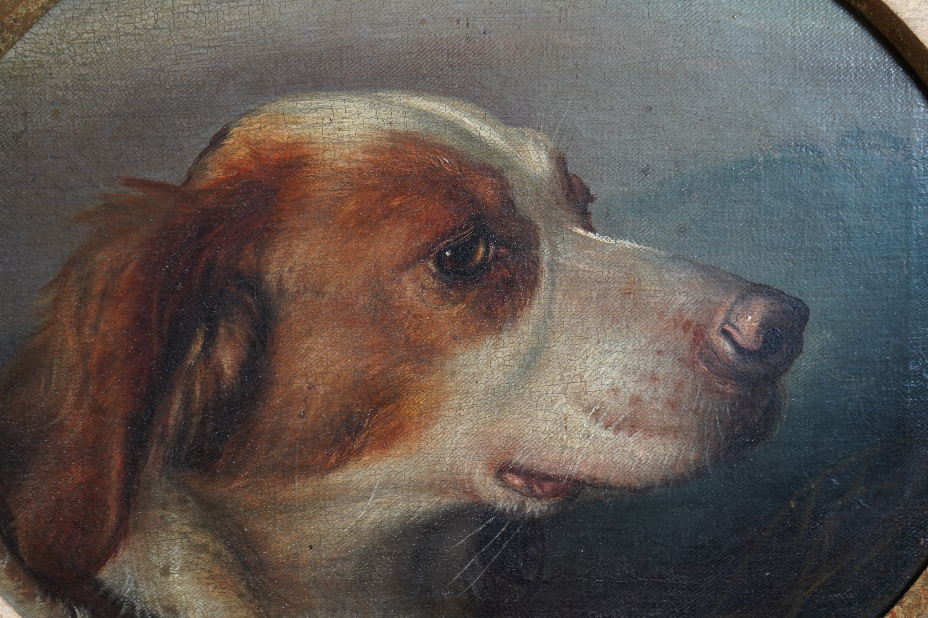 Manner of George Earl, 1824-1908, A head study of a dog
